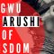 Agwu The Arushi of Wisdom – Igbo Mythology (afa, medicine, universal mind, madness)