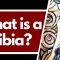 What is a Dibia? – Healers in Igbo Spirituality Explained