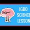 The Scientific Method Igbo