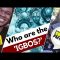 Who are the Igbos – TheMedicineShell, Irie FM Interview by Ka’bu Ma’at Kheru